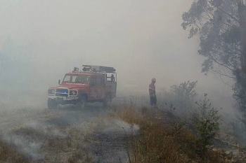 Bombeiros dão apoio em São Martinho de Bougado e S.Pedro da Cova