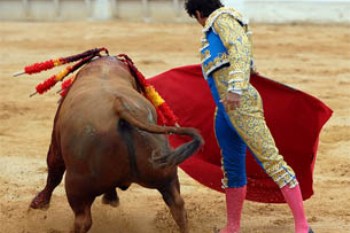 Hoje há tourada na Póvoa e manifestação bloquista